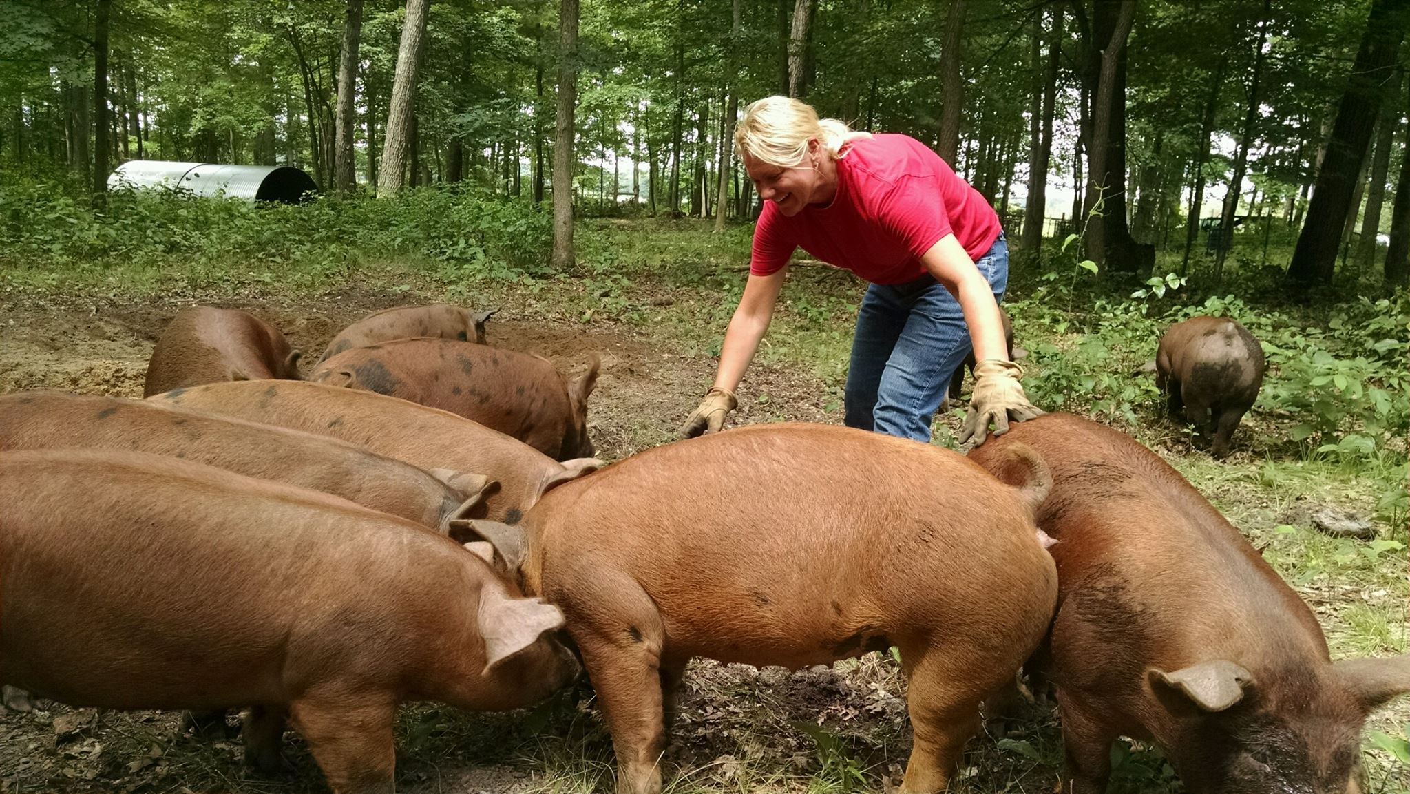 Bonnie with Pigs